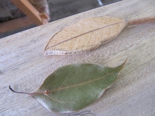 2010.9.11.1.jpg