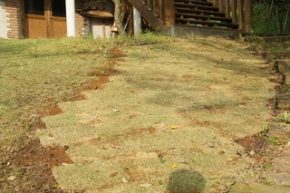 2012.4.23.3.jpg