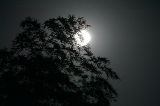 2012.5.5.1.jpg