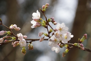 2013.3.19.1.jpg